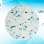 comprar colch&oacute;n primo latex gel